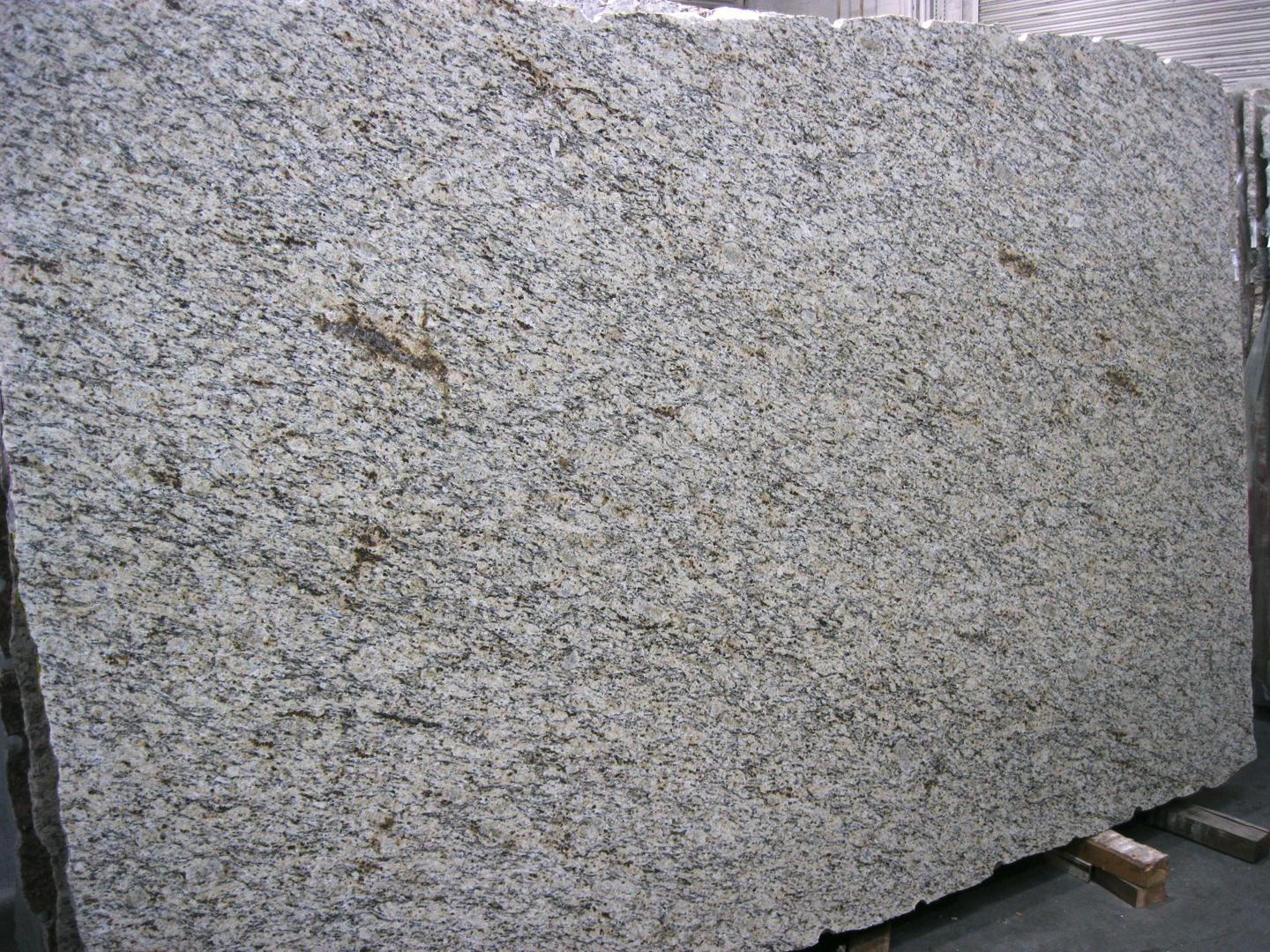 Giallo Ornamental